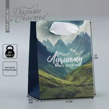 Пакет подарочный ламинированный, упаковка,