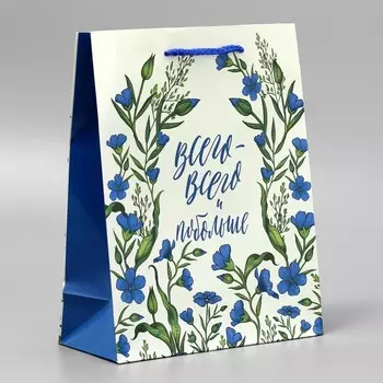 Пакет подарочный ламинированный, упаковка,