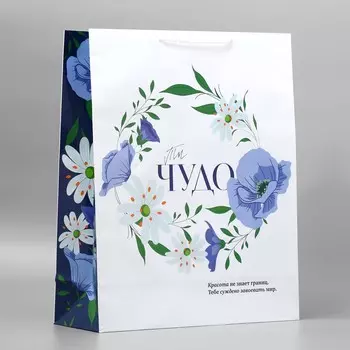 Пакет подарочный ламинированный, упаковка,