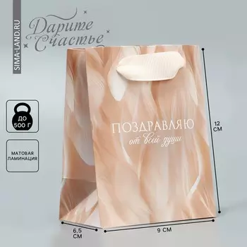 Пакет подарочный ламинированный, упаковка,