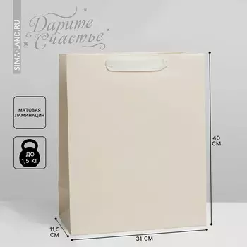 Пакет подарочный ламинированный, упаковка,