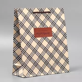 Пакет подарочный ламинированный, упаковка,