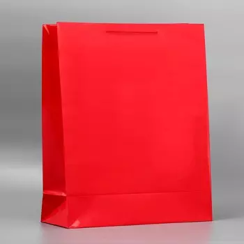 Пакет подарочный ламинированный, упаковка,