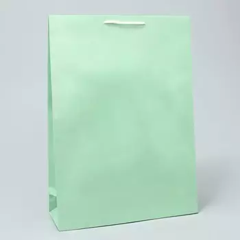 Пакет подарочный ламинированный, упаковка, зеленый, l 28 х 38 х 9 см