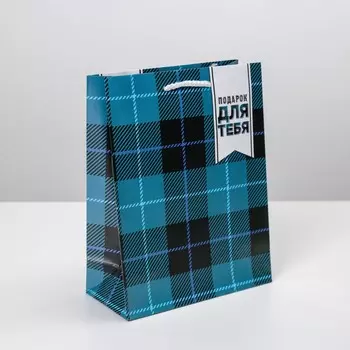 Пакет подарочный ламинированный, упаковка, real man, ms 18 х 23 х 8 см