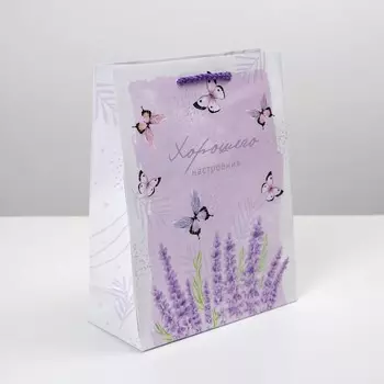 Пакет подарочный ламинированный, упаковка, special for you, ms 18 х 23 х 8 см