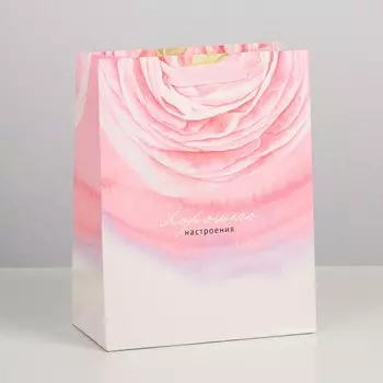 Пакет подарочный ламинированный вертикальный, упаковка,