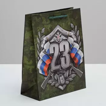 Пакет подарочный ламинированный вертикальный, упаковка,
