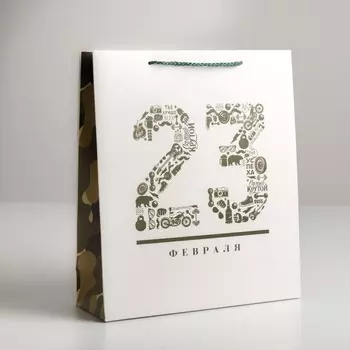 Пакет подарочный ламинированный вертикальный, упаковка,