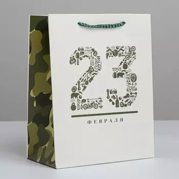 Пакет подарочный ламинированный вертикальный, упаковка,