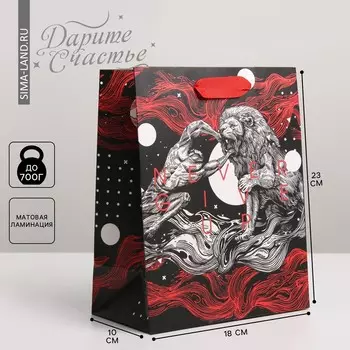 Пакет подарочный ламинированный вертикальный, упаковка,