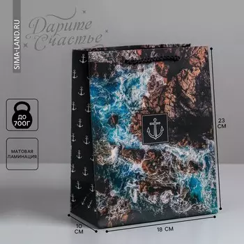 Пакет подарочный ламинированный вертикальный, упаковка,