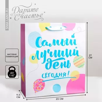 Пакет подарочный ламинированный вертикальный, упаковка,