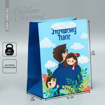 Пакет подарочный ламинированный вертикальный, упаковка,