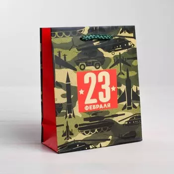 Пакет подарочный ламинированный, упаковка,