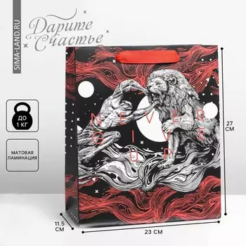 Пакет подарочный ламинированный вертикальный, упаковка,