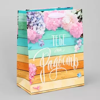 Пакет подарочный ламинированный вертикальный, упаковка,