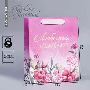 Пакет подарочный ламинированный вертикальный, упаковка,