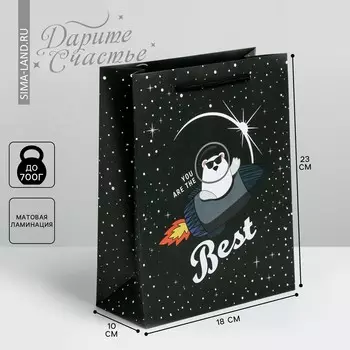 Пакет подарочный ламинированный вертикальный, упаковка,