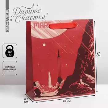 Пакет подарочный ламинированный вертикальный, упаковка,