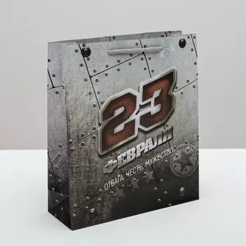 Пакет подарочный ламинированный вертикальный, упаковка,
