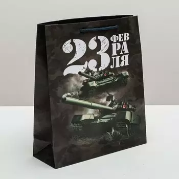 Пакет подарочный ламинированный вертикальный, упаковка,