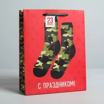 Пакет подарочный ламинированный вертикальный, упаковка,