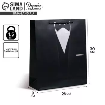 Пакет подарочный ламинированный вертикальный, упаковка,