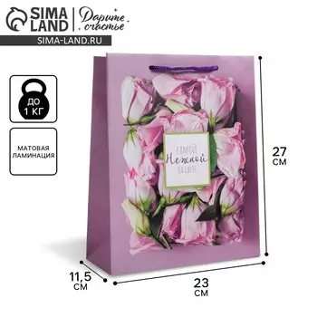 Пакет подарочный ламинированный, упаковка,