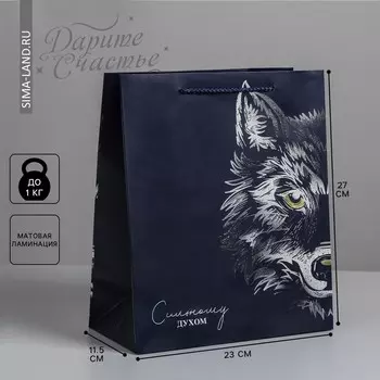 Пакет подарочный ламинированный вертикальный, упаковка,