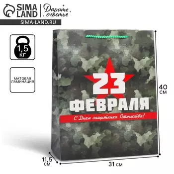 Пакет подарочный ламинированный вертикальный, упаковка,