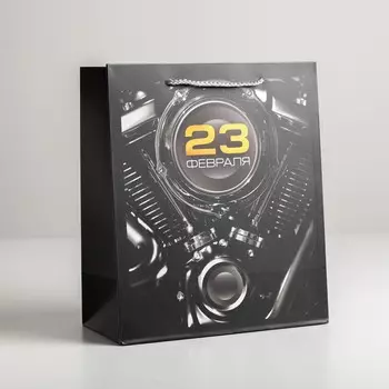 Пакет подарочный ламинированный вертикальный, упаковка,