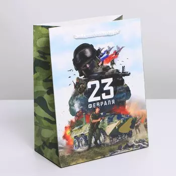 Пакет подарочный ламинированный вертикальный, упаковка,