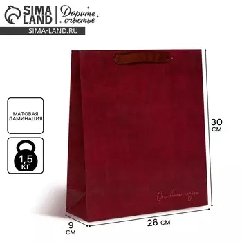 Пакет подарочный ламинированный вертикальный, упаковка,