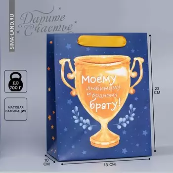 Пакет подарочный ламинированный вертикальный, упаковка,