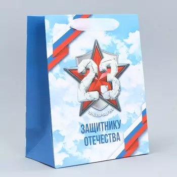 Пакет подарочный ламинированный вертикальный, упаковка,