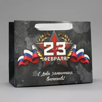 Пакет подарочный ламинированный вертикальный, упаковка,