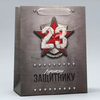 Пакет подарочный ламинированный вертикальный, упаковка,