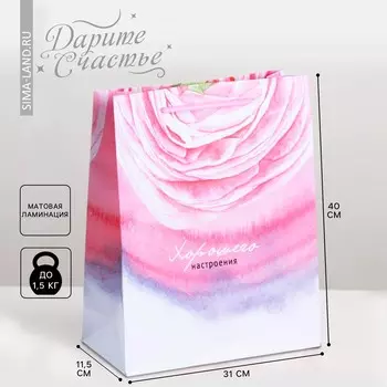 Пакет подарочный ламинированный, упаковка,