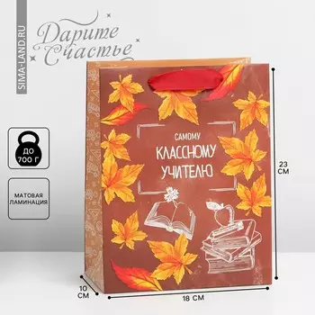 Пакет подарочный ламинированный вертикальный, упаковка,