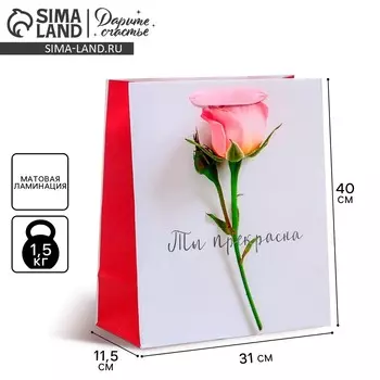 Пакет подарочный ламинированный вертикальный, упаковка,