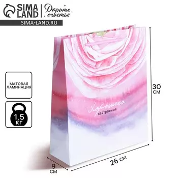 Пакет подарочный ламинированный, упаковка,