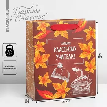 Пакет подарочный ламинированный вертикальный, упаковка,