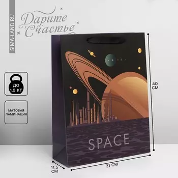 Пакет подарочный ламинированный вертикальный, упаковка,