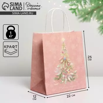 Пакет подарочный новогодний крафтовый