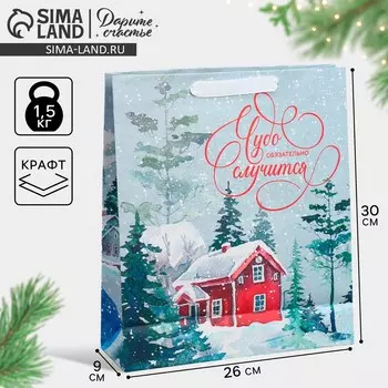 Пакет подарочный новогодний крафтовый