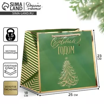 Пакет подарочный новогодний ламинированный