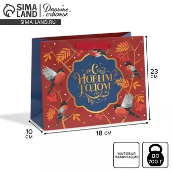 Пакет подарочный новогодний ламинированный