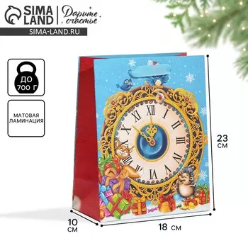 Пакет подарочный новогодний ламинированный