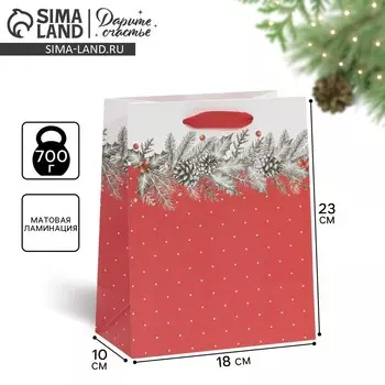 Пакет подарочный новогодний ламинированный